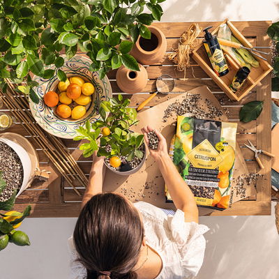 Lechuza Citruspon, 12 Liter