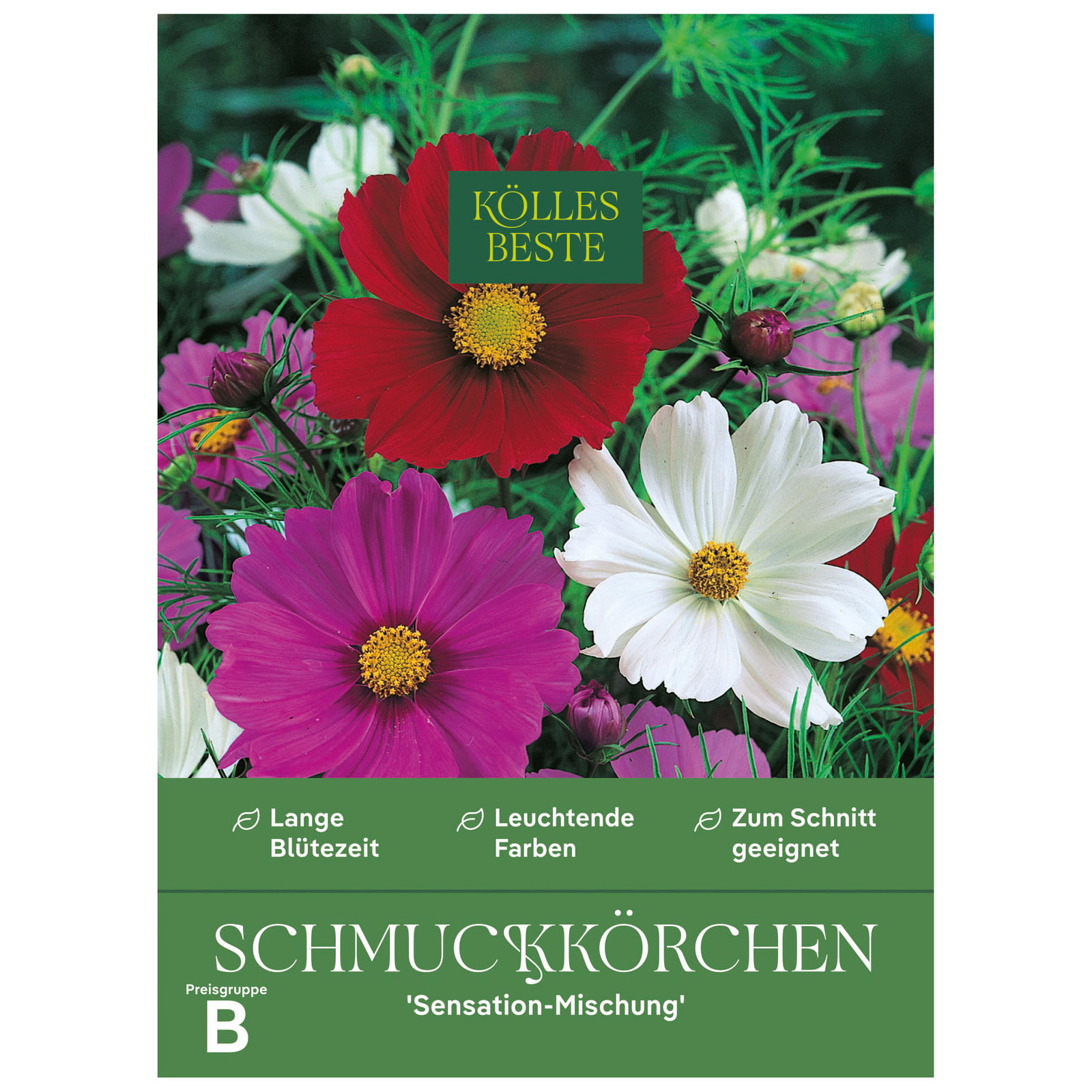 Kölles Beste Blumensamen, Schmuckkörbchen 'Sensation-Mischung' Kölles Beste Blumensamen, Schmuckkörbchen 'Sensation-Mischung'