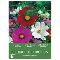 Kölles Beste Blumensamen, Schmuckkörbchen 'Sensation-Mischung' Kölles Beste Blumensamen, Schmuckkörbchen 'Sensation-Mischung'
