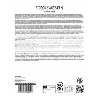 Steckzwiebel 'Romy', rot, 50 Zwiebeln