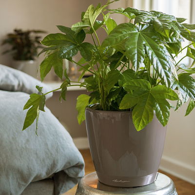 Lechuza 'Classico LS 35', taupe, ca. Ø 35 x H 33 cm