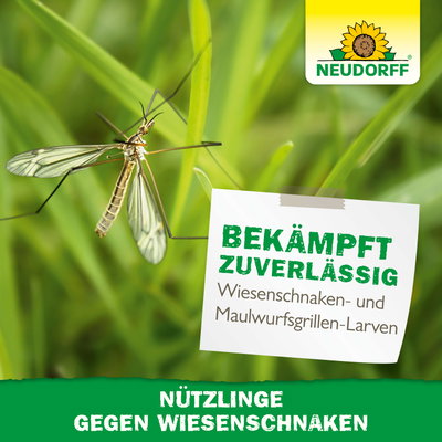Neudorff Bestell-Set Nützlinge gegen Wiesenschnacken, 50 Mio Stück Neudorff Bestell-Set Nützlinge gegen Wiesenschnacken, 50 Mio Stück