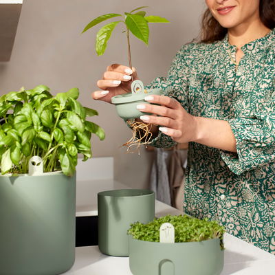 Elho Pflanzgefäß 'Amazing Avocado Pot', laubgrün, ca. Ø 12 x H 15,1 cm Elho Pflanzgefäß 'Amazing Avocado Pot', laubgrün, ca. Ø 12 x H 15,1 cm