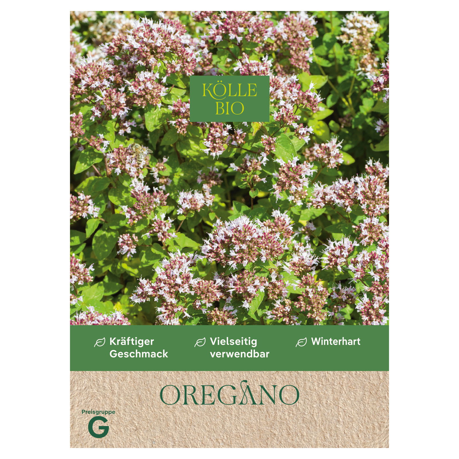 Kölle Bio Saatgut Oregano, grün, rosa