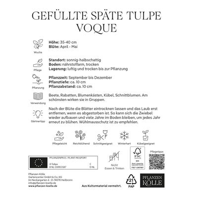 Gefüllte späte Tulpen 'Voque', pink, 7 Blumenzwiebeln