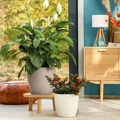 Lechuza 'Classico Color 18', weiß, ca. Ø 19 x H 17 cm