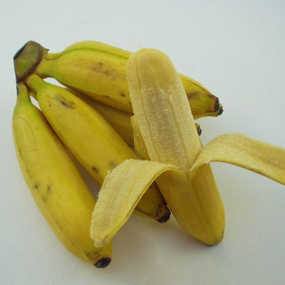 Blu Bio Bananenpflanze, Topf-Ø 12 cm, 2er-Set