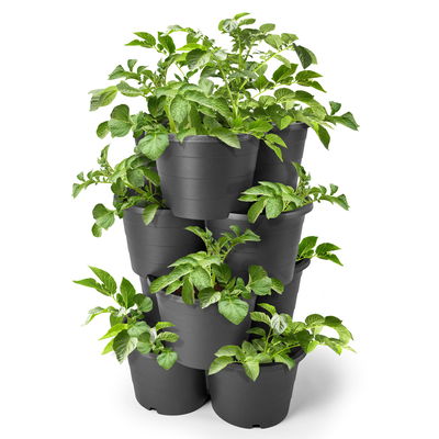 Kölle Kartoffelturm, 4 Töpfe, anthrazit, ca. 42 x 40 x H 21 cm Kölle Kartoffelturm, 4 Töpfe, anthrazit, ca. 42 x 40 x H 21 cm