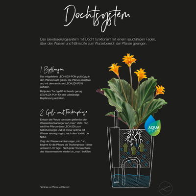 Lechuza 'Mini-Deltini', scarlet-rot, ca. 10 x 10 x H 13 cm