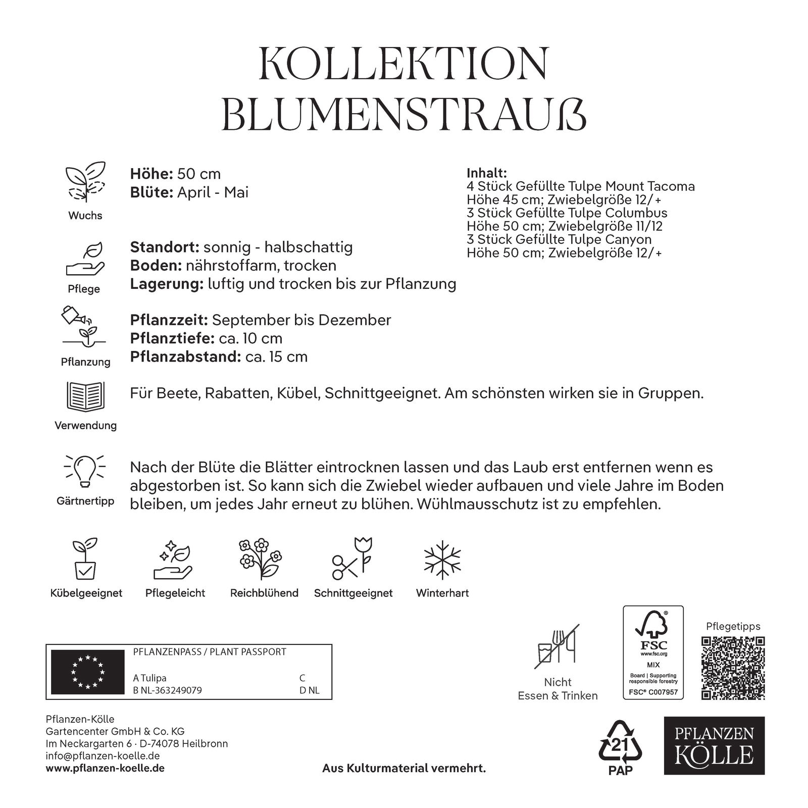 Kollektion Blumenstrauß, 10 Blumenzwiebeln