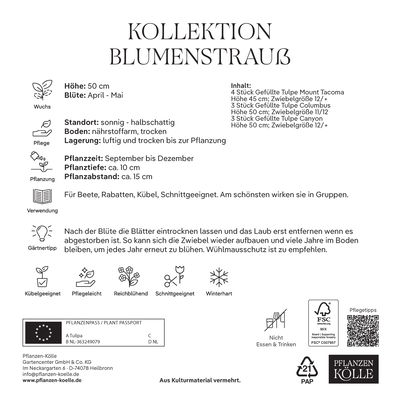 Kollektion Blumenstrauß, 10 Blumenzwiebeln