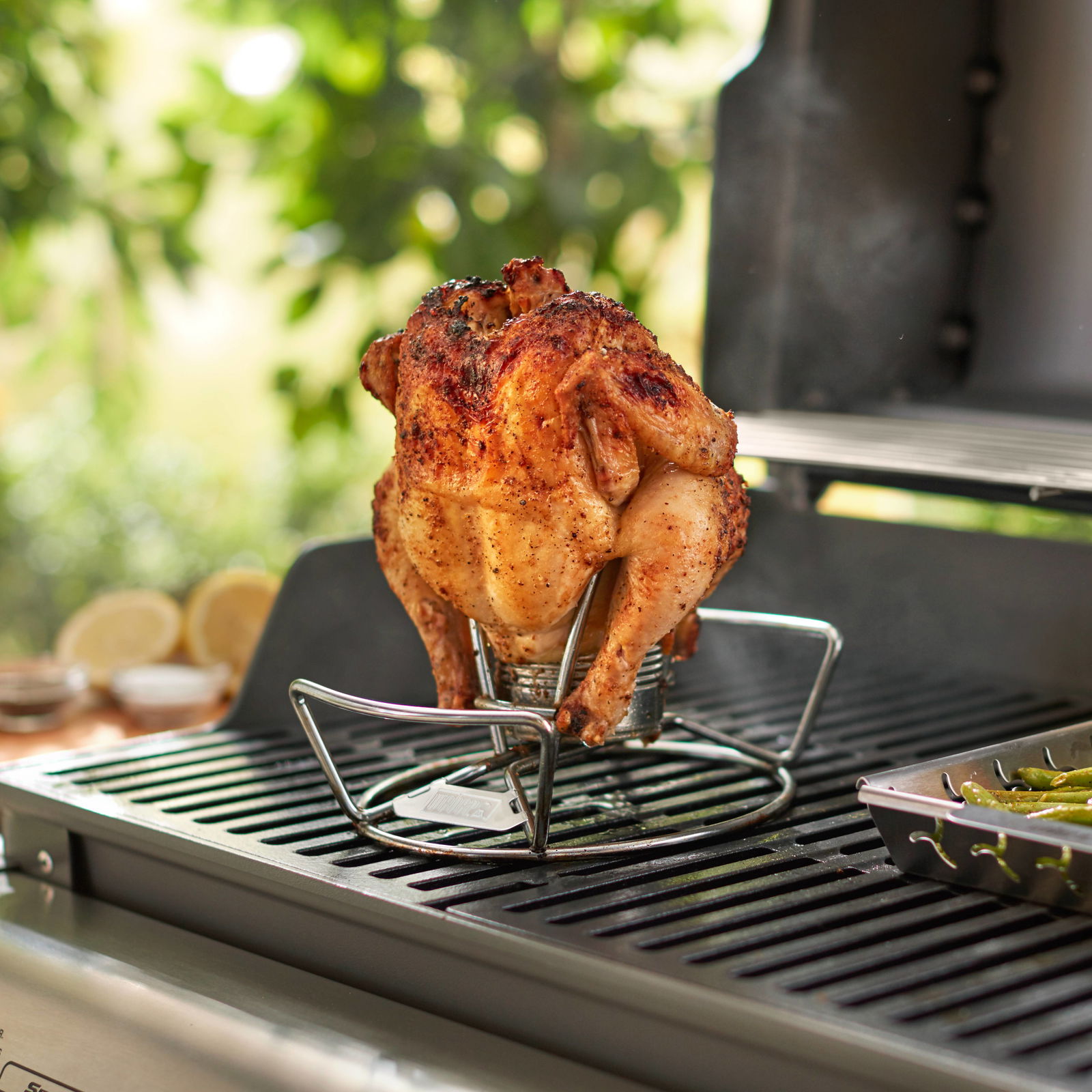 Weber® Geflügelhalter