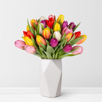 30 Tulpen, bunt 30 Tulpen, bunt