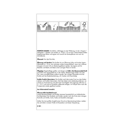 Pompon-Dahlien Mischung, 3 Blumenknollen Pompon-Dahlien Mischung, 3 Blumenknollen