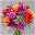 Blumenstrauß 'Sommerbrise' inkl. gratis Grußkarte