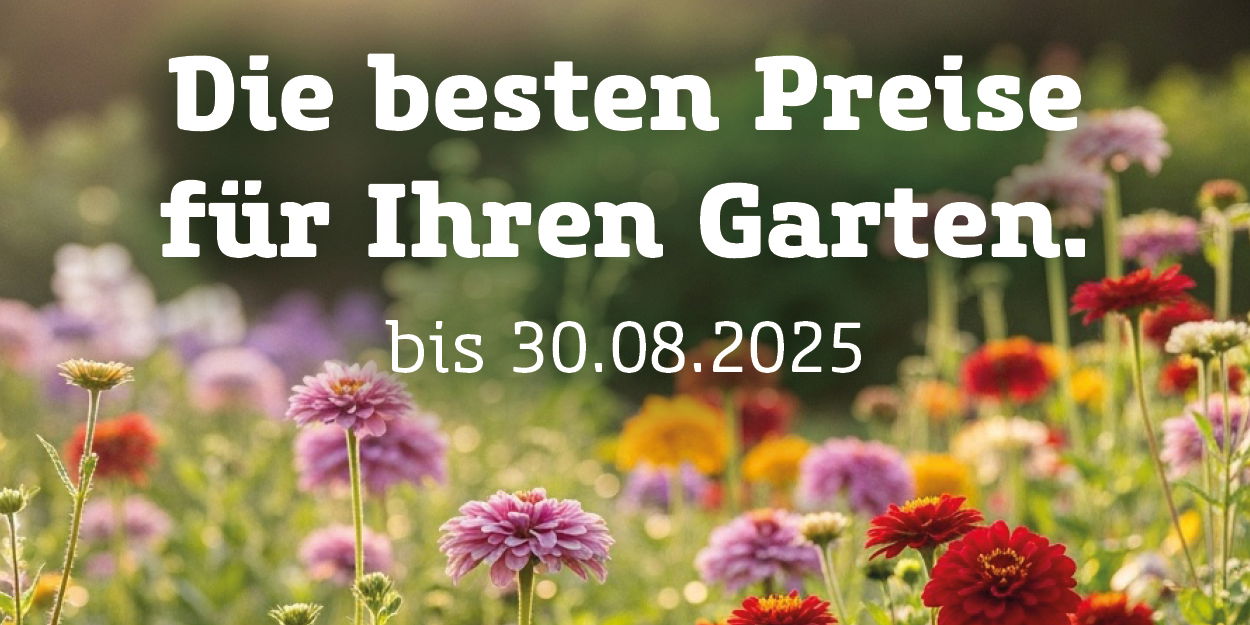 Bunt blühende Sommerwiese mit dem Hinweis 