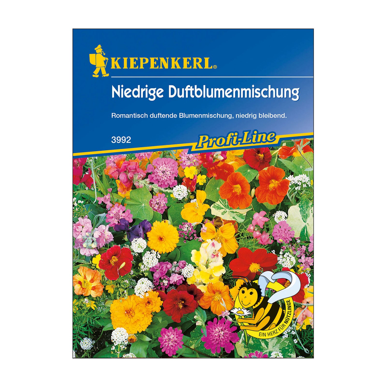 Blumensamen, Duftblumen 'Steingarten', rosa, gelb & rot