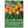 Kölles Beste Tulpe 'Orange Lion®', orange Kölles Beste Tulpe 'Orange Lion®', orange