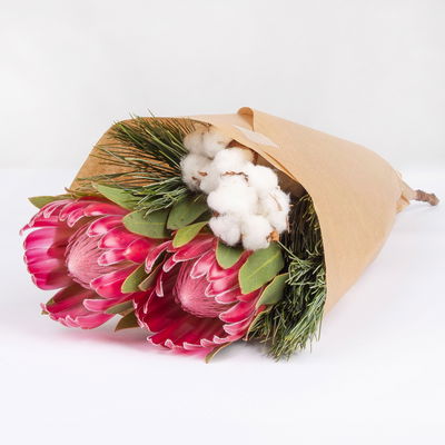 Schnittblumen-Mix aus Protea, Seidenkiefer & Baumwolle