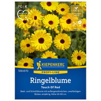 Blumensamen, Ringelblume 'Touch of the Red', orange