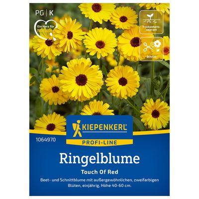 Blumensamen, Ringelblume 'Touch of the Red', orange Blumensamen, Ringelblume 'Touch of the Red', orange