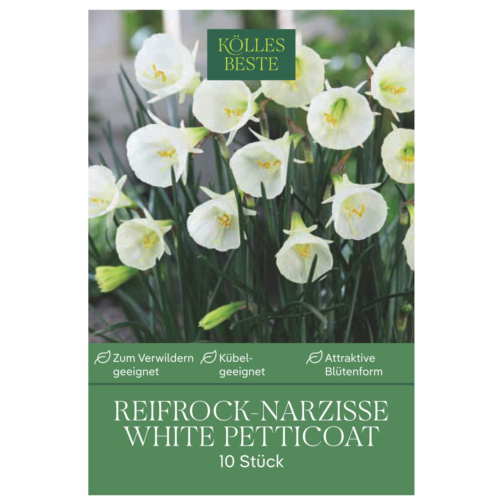 Reifrock-Narzisse 'White Petticoat', weiß, 10 Blumenzwiebeln
