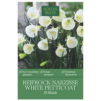 Reifrock-Narzisse 'White Petticoat', weiß, 10 Blumenzwiebeln