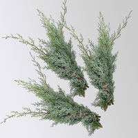 Arizonica-Zypresse 'Glauca' im Handbund, 3 Bund