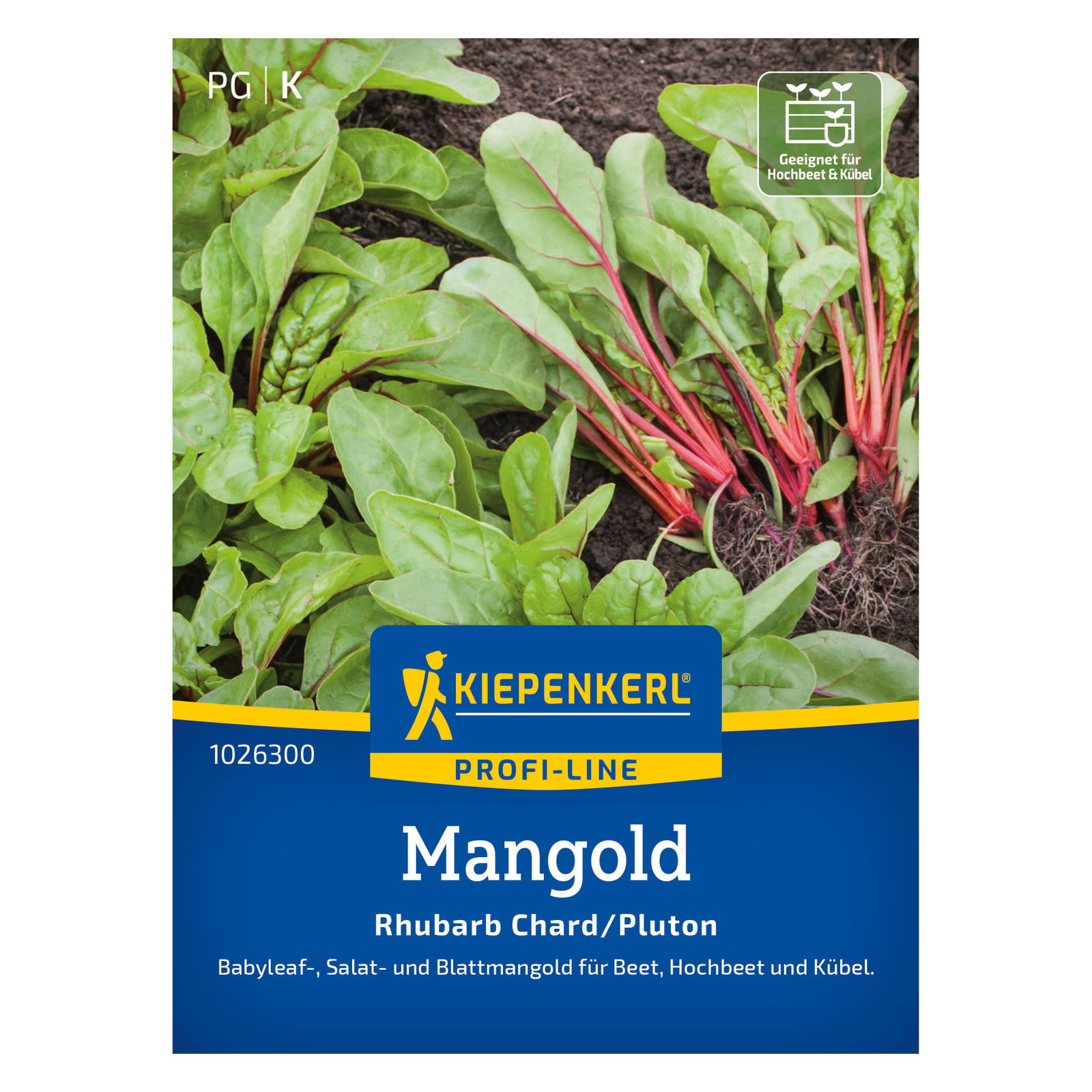 Kiepenkerl Saatgut Mangold 'Rhubarb Chard/Pluton', rot