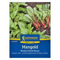 Kiepenkerl Saatgut Mangold 'Rhubarb Chard/Pluton', rot