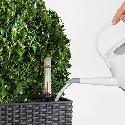 Lechuza 'Cubico Cottage 40', graphitschwarz, ca. 40 x 40 x H 75 cm