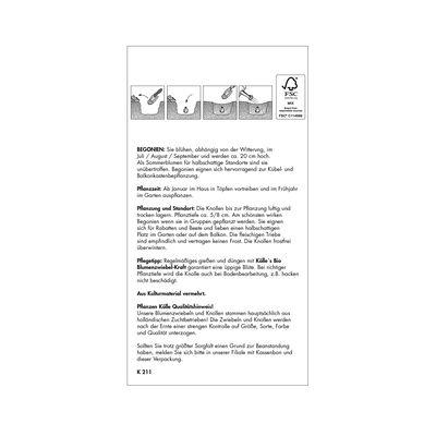 Gefüllte Begonie, rosa, 3 Blumenknollen