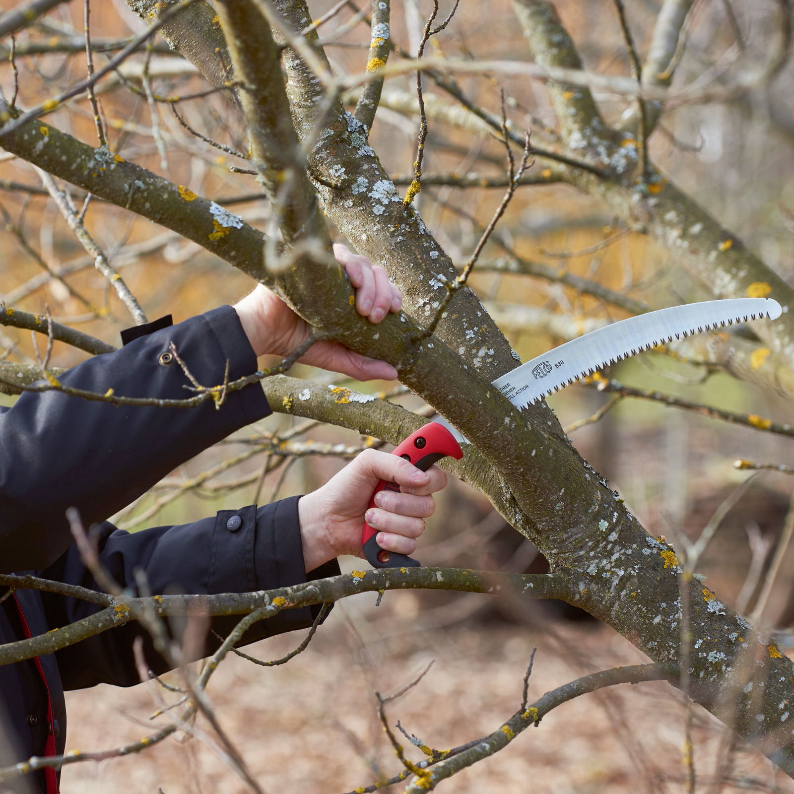 Felco Zugsäge, Sägeblatt 33 cm, gebogen Felco Zugsäge, Sägeblatt 33 cm, gebogen