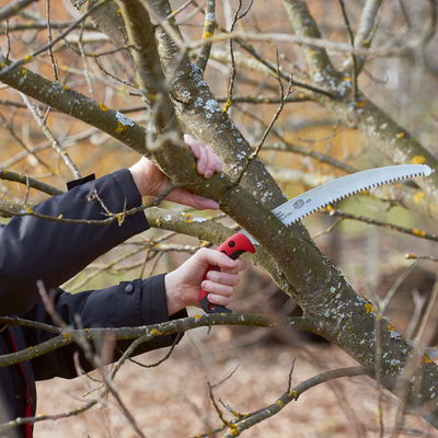 Felco Zugsäge, Sägeblatt 33 cm, gebogen Felco Zugsäge, Sägeblatt 33 cm, gebogen