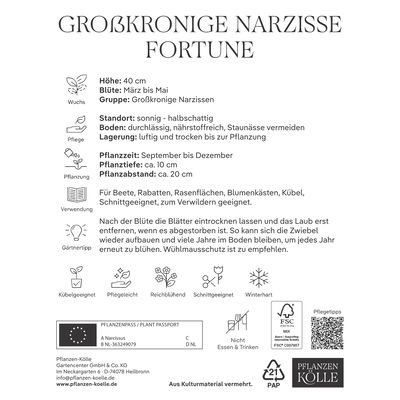 XXL Großkronige Narzisse Fortune gelb-orange, 5 Blumenzwiebeln XXL Großkronige Narzisse Fortune gelb-orange, 5 Blumenzwiebeln
