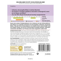 Thompson & Morgan Wildblume Echte Schlüsselblume, gelb Thompson & Morgan Wildblume Echte Schlüsselblume, gelb