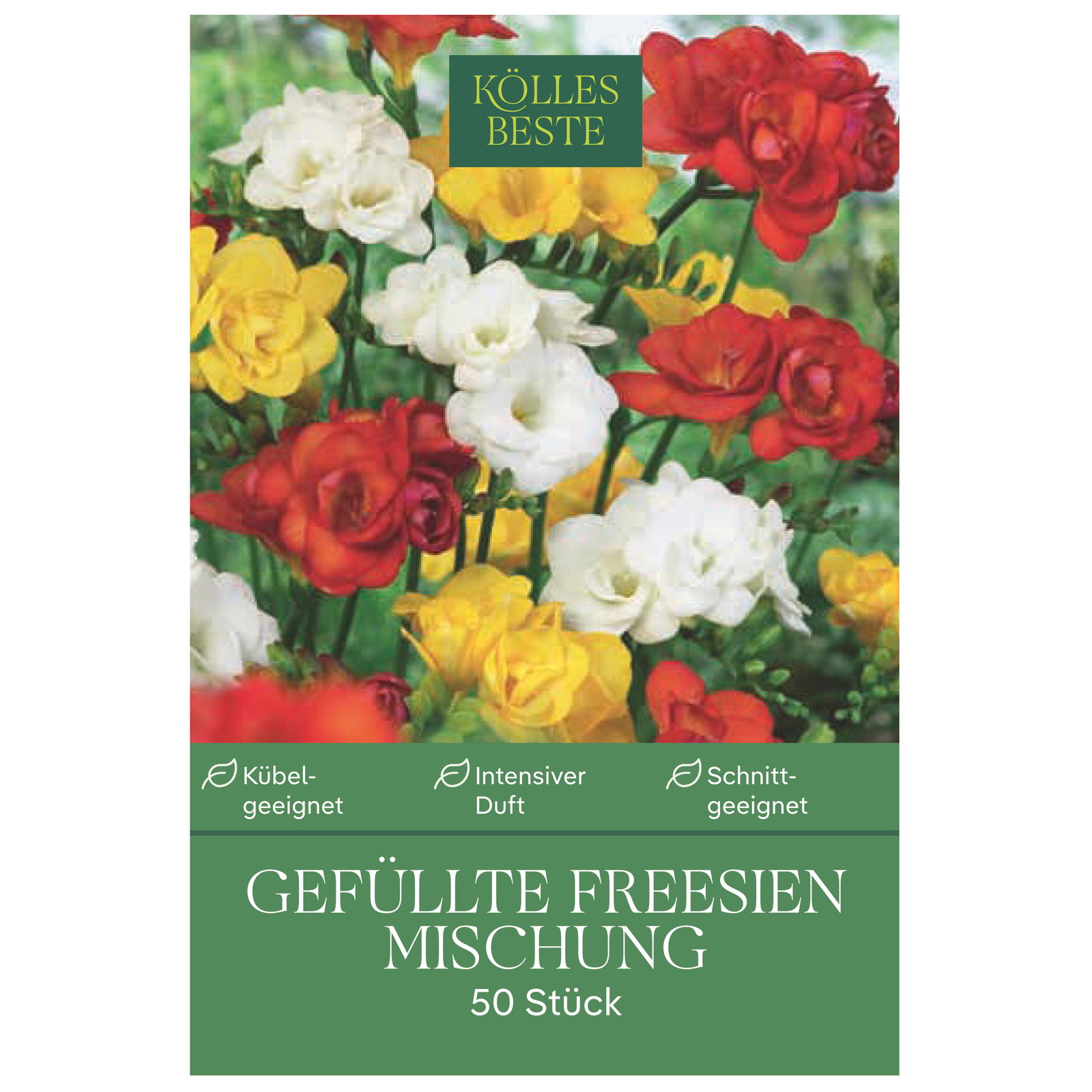 Kölles Beste Gefüllte Freesien Mischung, gelb, weiß, orange, 50 Blumenknollen