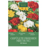Kölles Beste Gefüllte Freesien Mischung, gelb, weiß, orange, 50 Blumenknollen