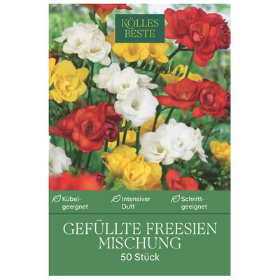 Kölles Beste Gefüllte Freesien Mischung, gelb, weiß, orange, 50 Blumenknollen