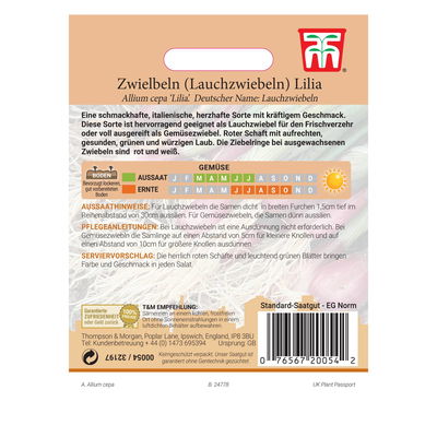 Zwiebeln (Lauchzwiebeln) Lilia, herzhaft und kräftig im Geschmack Zwiebeln (Lauchzwiebeln) Lilia, herzhaft und kräftig im Geschmack