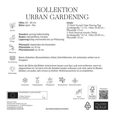 Blumenzwiebel-Kollektion 'Urban Gardening', weiß/violett, 15 Blumenzwiebeln Blumenzwiebel-Kollektion 'Urban Gardening', weiß/violett, 15 Blumenzwiebeln
