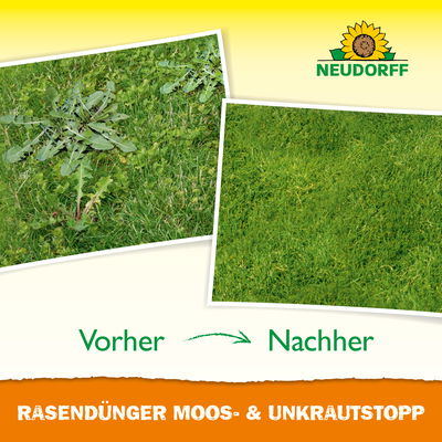 Neudorff Rasendünger Moos- & Unkrautstopp, 10 kg