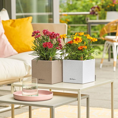 Lechuza 'Canto Stone 14', quarzweiß, ca. 14 x 14 x H 13,5 cm