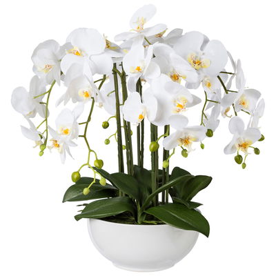 Kunstpflanze Phalaenopsis, weiß, Höhe ca. 54 cm Kunstpflanze Phalaenopsis, weiß, Höhe ca. 54 cm
