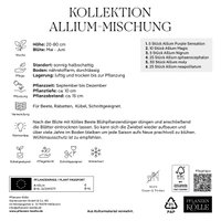 Kölles Beste Kollektion 'Allium-Mischung', 100 Blumenzwiebeln Kölles Beste Kollektion 'Allium-Mischung', 100 Blumenzwiebeln