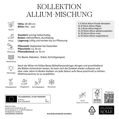 Kölles Beste Kollektion 'Allium-Mischung', 100 Blumenzwiebeln Kölles Beste Kollektion 'Allium-Mischung', 100 Blumenzwiebeln
