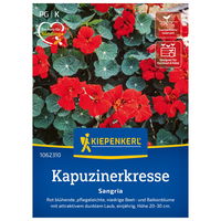 Blumensamen, Kapuzinerkresse 'Sangria', rot