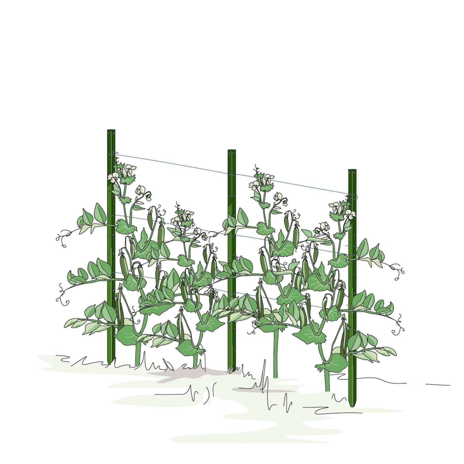Pflanzstab 'Timo', grün, H100 x B3 cm