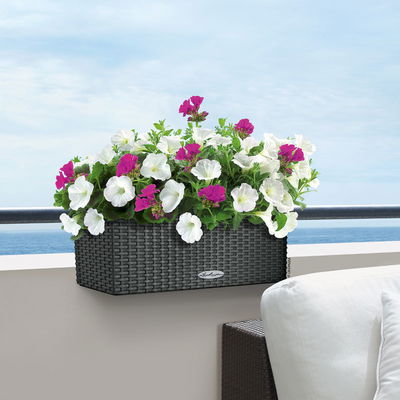 Lechuza 'Balconera Cottage 50', granit, ca. 50 x 19 x H 19 cm