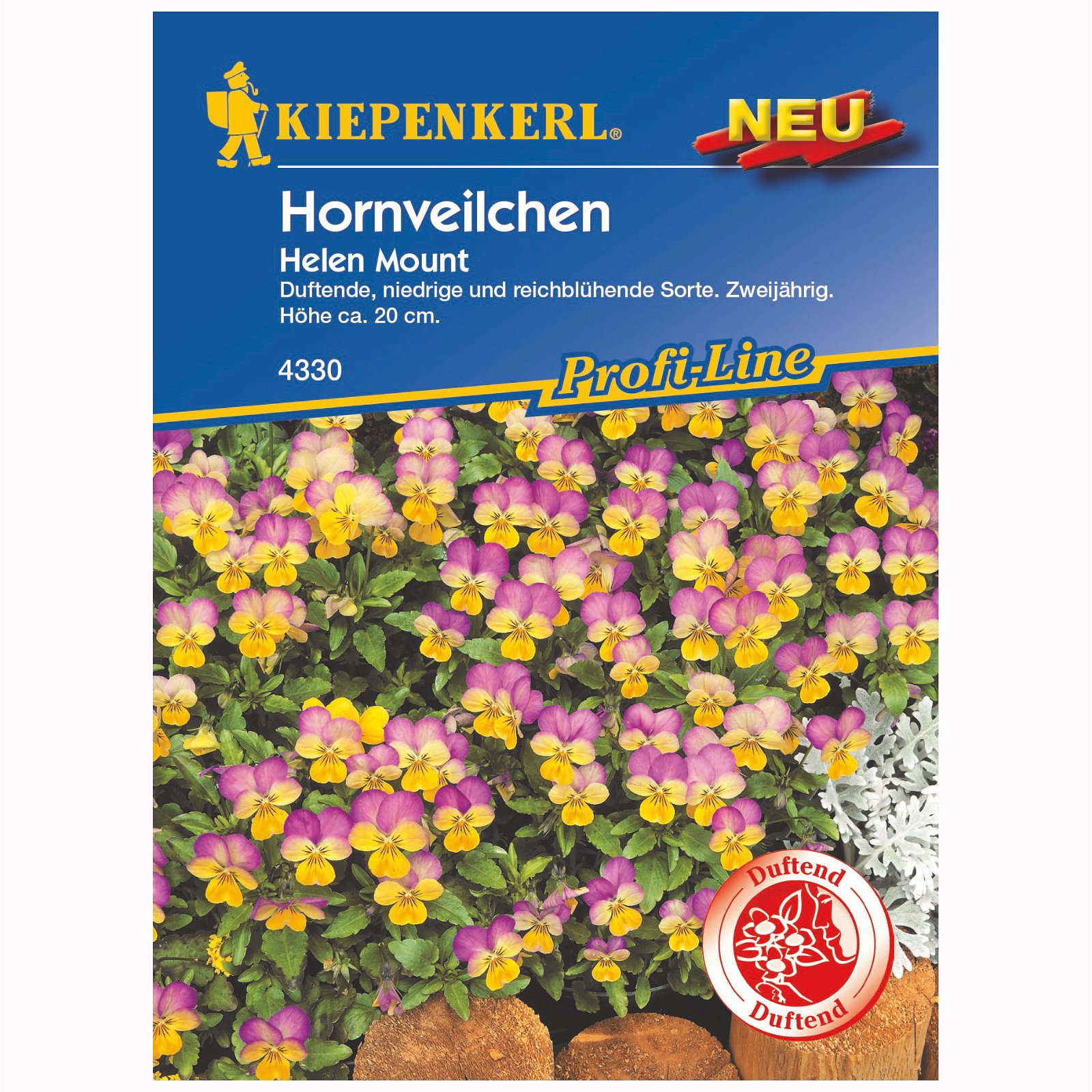 Hornveilchen 'Helen Mount', gelb/rosa, ca. 30 Samen